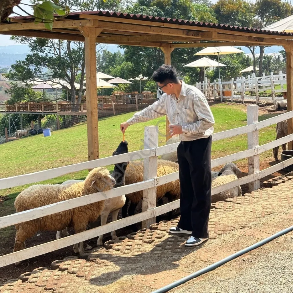 TRAI CẦU GIẤY TÌM CÁC CHỊ... ADD ZALO EM: 0968007891